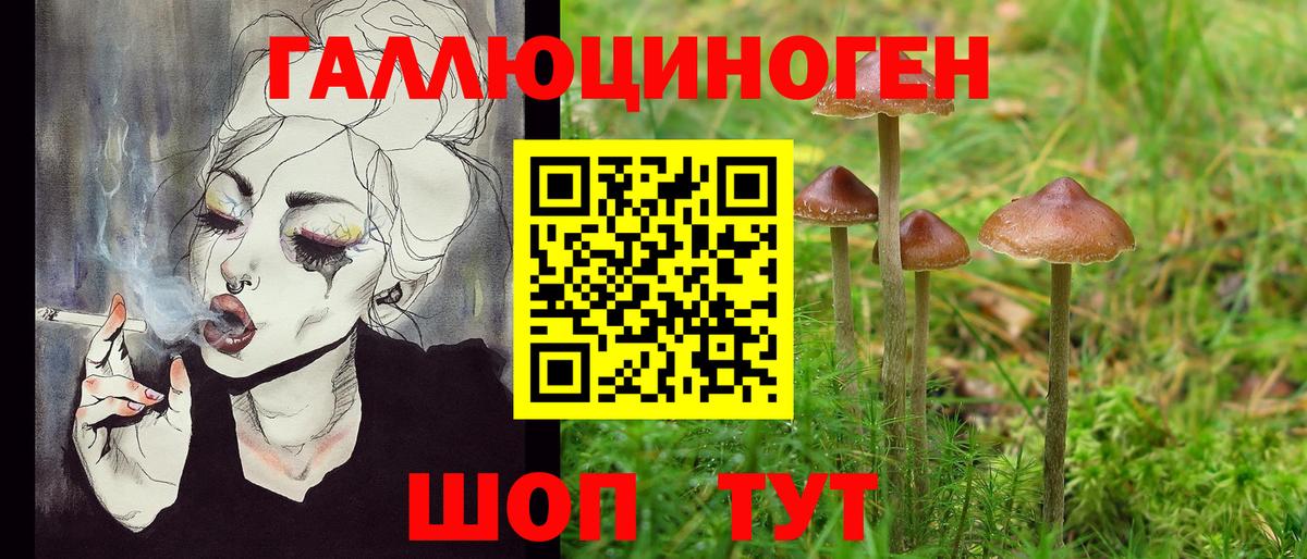 Галлюциногенные грибы Cubensis Киров