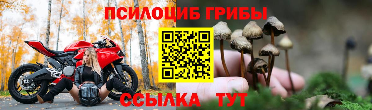 Киров  Псилоцибиновые грибы мухоморы  Вход с VPN 